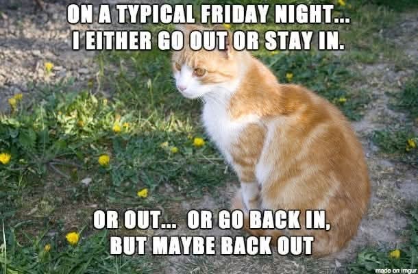 ON A TYPICAL FRIDAY NIGHT... I EITHER GO OUT OR STAY IN. OR OUT... OR GO BACK IN, BUT MAYBE BACK OUT made on imgur