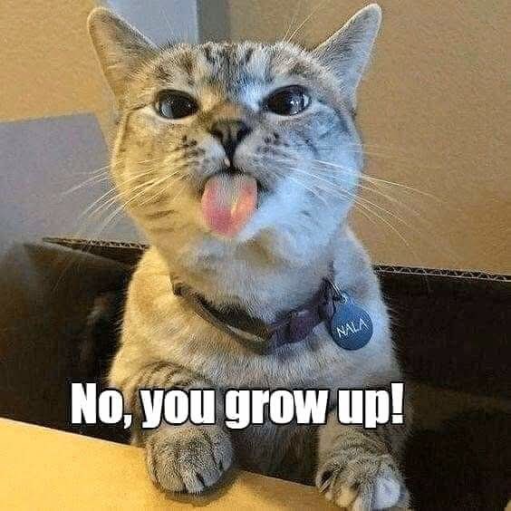 NALA No, you grow up!