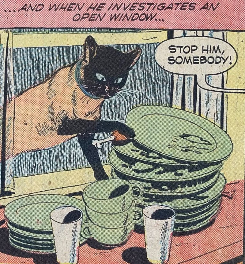 ...AND WHEN HE INVESTIGATES AN OPEN WINDOW... STOP HIM, SOMEBODY!