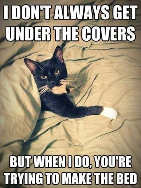 I DON'T ALWAYS GET UNDER THE COVERS BUT WHEN I DO, YOU'RE TRYING TO MAKE THE BED