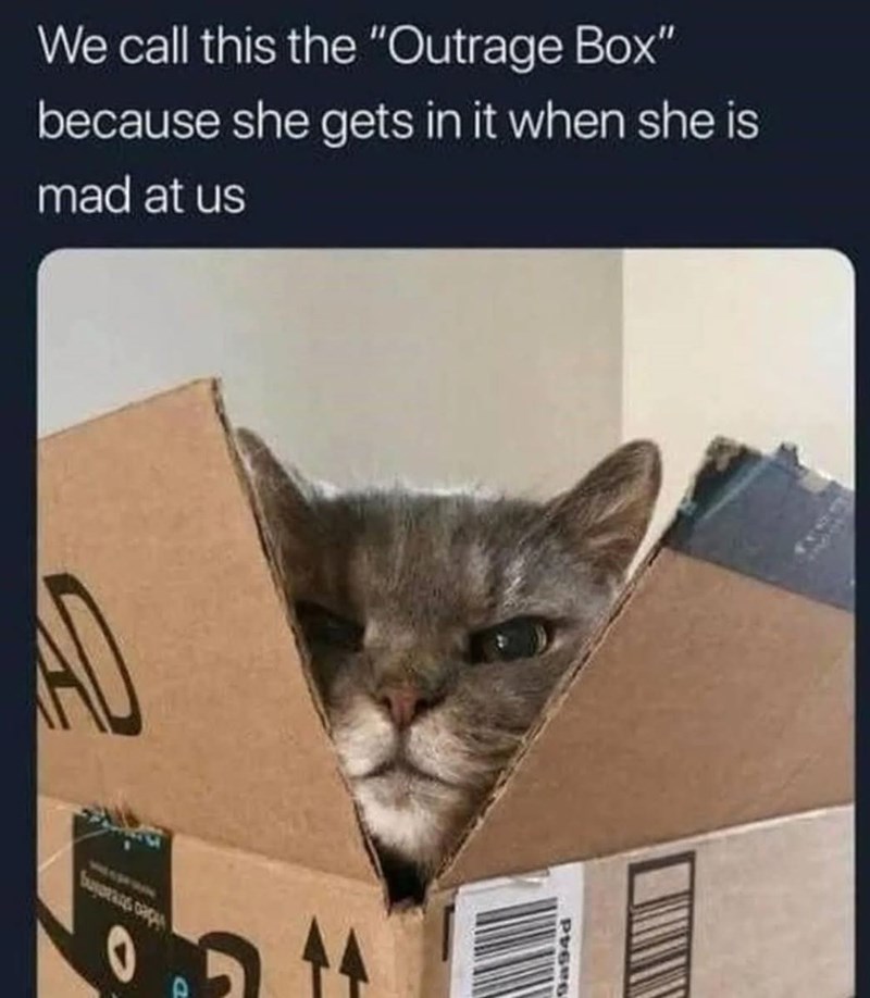 AD 0 We call this the "Outrage Box" because she gets in it when she is mad at us 9a94d