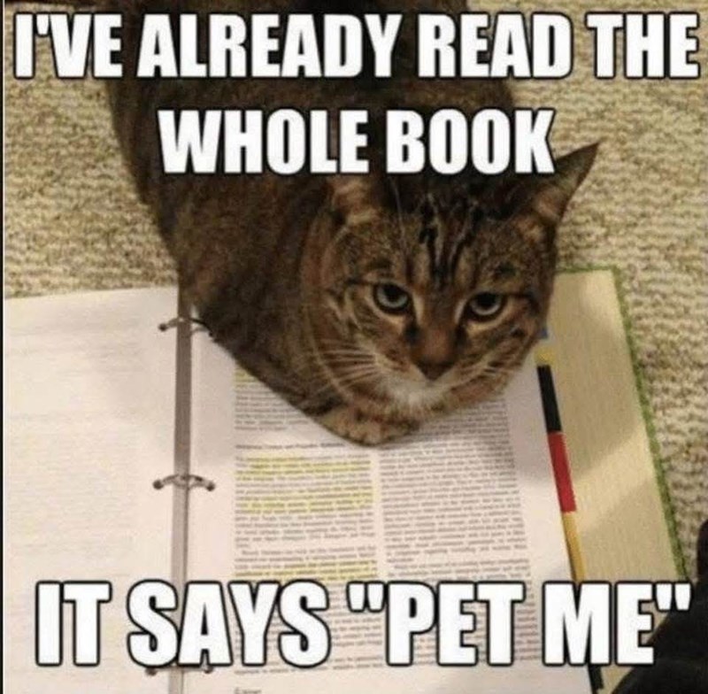 I'VE ALREADY READ THE WHOLE BOOK IT SAYS "PET ME"