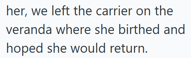 her, we left the carrier on the veranda where she birthed and hoped she would return.