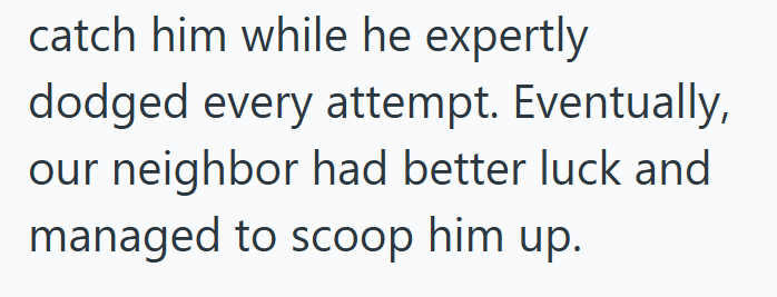 catch him while he expertly dodged every attempt. Eventually, our neighbor had better luck and managed to scoop him up.