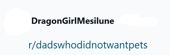 DragonGirlMesilune r/dadswhodidnotwantpets
