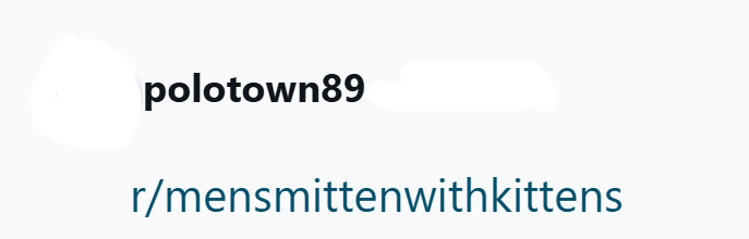 polotown89 r/mensmittenwithkittens