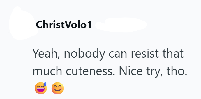 ChristVolo1 Yeah, nobody can resist that much cuteness. Nice try, tho.