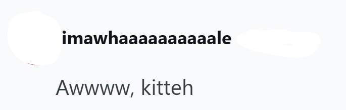 imawhaaaaaaaaaale Awwww, kitteh