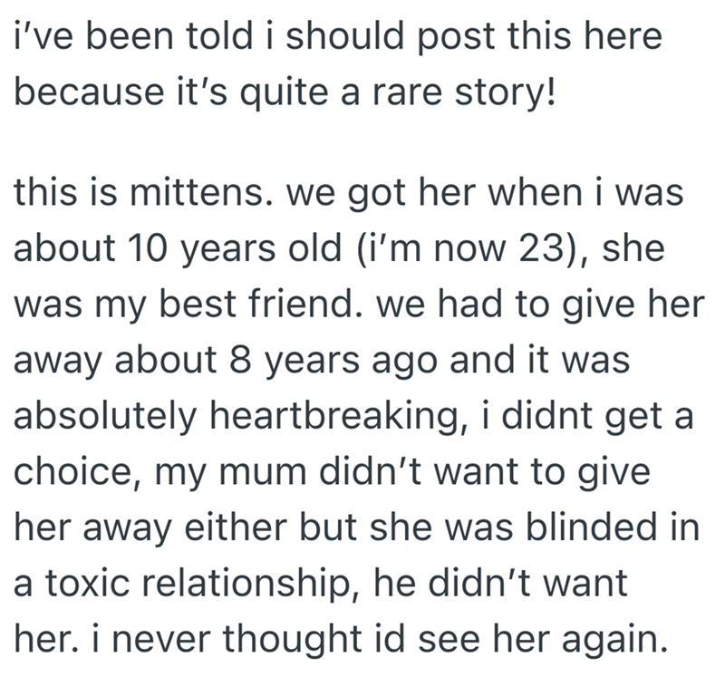 i've been told i should post this here because it's quite a rare story! this is mittens. we got her when i was about 10 years old (i'm now 23), she was my best friend. we had to give her away about 8 years ago and it was absolutely heartbreaking, i didnt get a choice, my mum didn't want to give. her away either but she was blinded in a toxic relationship, he didn't want her. i never thought id see her again.