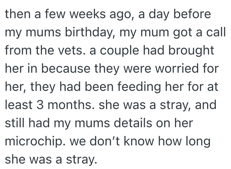 then a few weeks ago, a day before my mums birthday, my mum got a call from the vets. a couple had brought her in because they were worried for her, they had been feeding her for at least 3 months. she was a stray, and still had my mums details on her microchip. we don't know how long she was a stray.