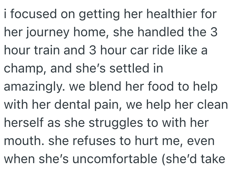 i focused on getting her healthier for her journey home, she handled the 3 hour train and 3 hour car ride like a champ, and she's settled in amazingly. we blend her food to help. with her dental pain, we help her clean herself as she struggles to with her mouth. she refuses to hurt me, even when she's uncomfortable (she'd take
