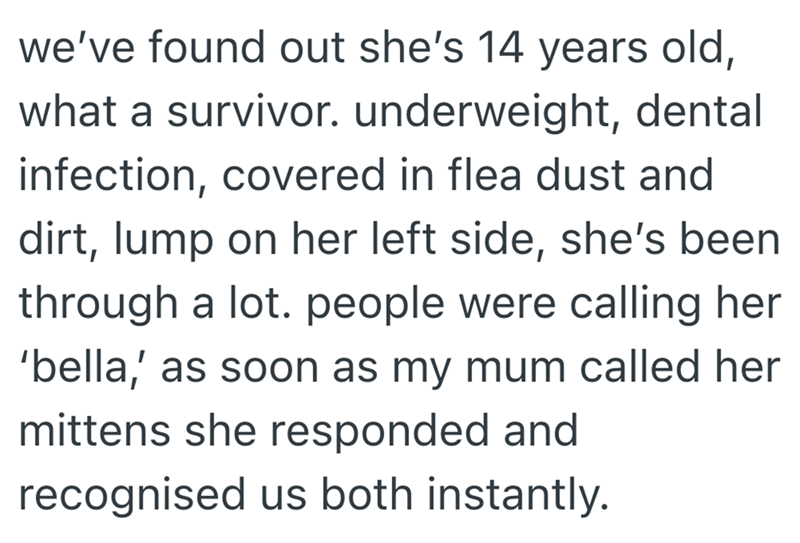 we've found out she's 14 years old, what a survivor. underweight, dental infection, covered in flea dust and dirt, lump on her left side, she's been through a lot. people were calling her 'bella,' as soon as my mum called her mittens she responded and recognised us both instantly.