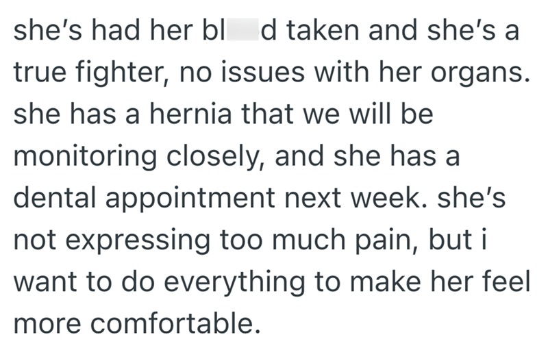 she's had her bl d taken and she's a true fighter, no issues with her organs. she has a hernia that we will be monitoring closely, and she has a dental appointment next week. she's not expressing too much pain, but i want to do everything to make her feel more comfortable.