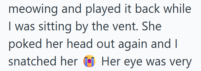 meowing and played it back while I was sitting by the vent. She poked her head out again and I snatched her Her eye was very