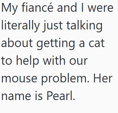 My fiancé and I were literally just talking about getting a cat to help with our mouse problem. Her name is Pearl.