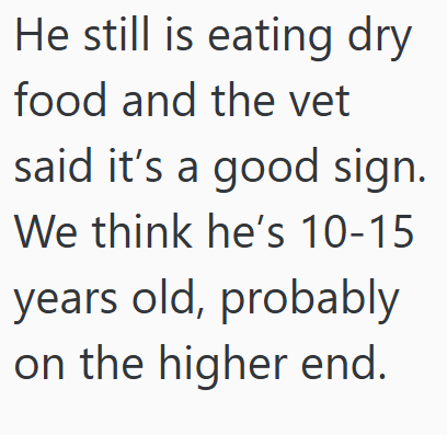 He still is eating dry food and the vet said it's a good sign. We think he's 10-15 years old, probably on the higher end.