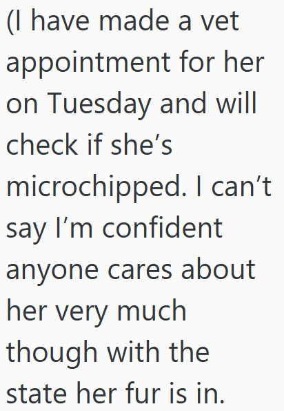 (I have made a vet appointment for her on Tuesday and will check if she's microchipped. I can't say I'm confident anyone cares about her very much though with the state her fur is in.