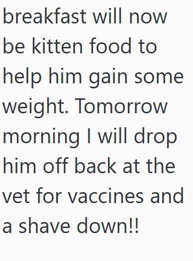 breakfast will now be kitten food to help him gain some weight. Tomorrow morning I will drop him off back at the vet for vaccines and a shave down!!