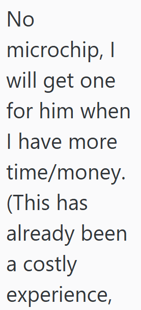 No microchip, I will get one for him when I have more time/money. (This has already been a costly experience,