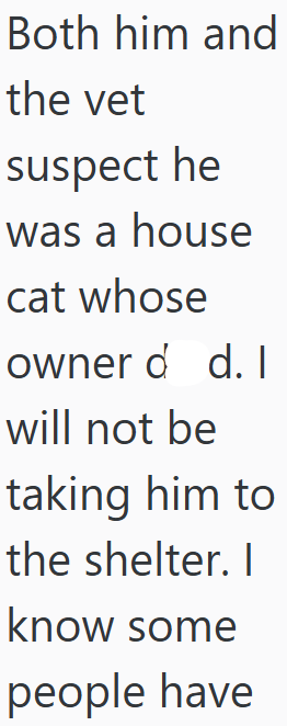 Both him and the vet suspect he was a house cat whose owner d d. I will not be taking him to the shelter. I know some people have