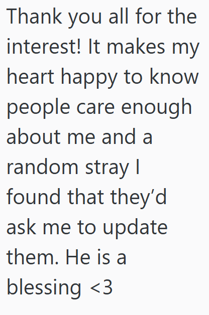 Thank you all for the interest! It makes my heart happy to know people care enough about me and a random stray I found that they'd ask me to update them. He is a blessing <3