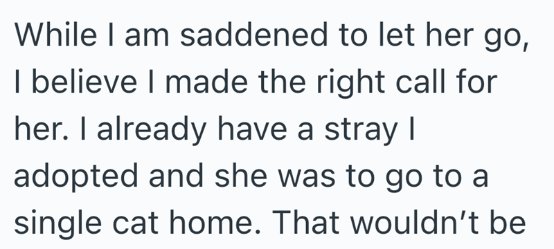 While I am saddened to let her go, I believe I made the right call for her. I already have a stray I adopted and she was to go to a single cat home. That wouldn't be
