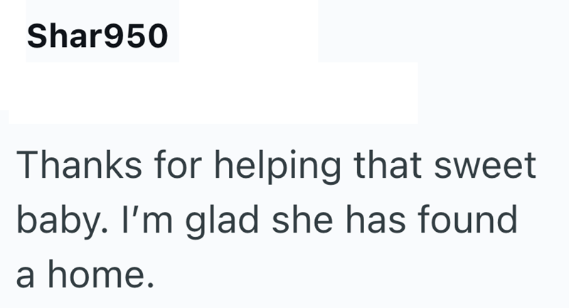 Shar950 Thanks for helping that sweet baby. I'm glad she has found a home.