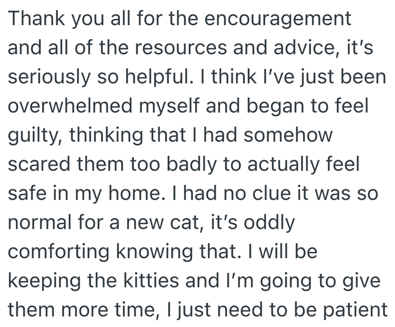 Thank you all for the encouragement and all of the resources and advice, it's seriously so helpful. I think I've just been overwhelmed myself and began to feel guilty, thinking that I had somehow scared them too badly to actually feel safe in my home. I had no clue it was so normal for a new cat, it's oddly comforting knowing that. I will be keeping the kitties and I'm going to give them more time, I just need to be patient