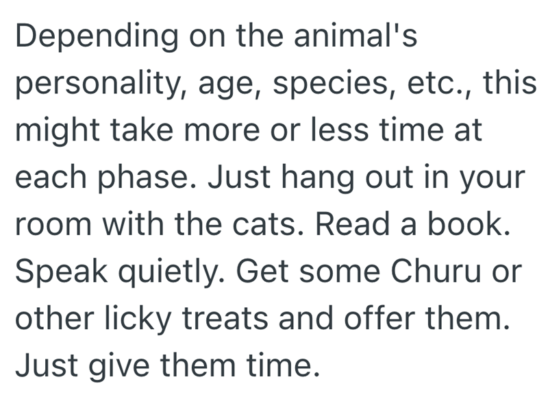 Depending on the animal's personality, age, species, etc., this might take more or less time at each phase. Just hang out in your room with the cats. Read a book. Speak quietly. Get some Churu or other licky treats and offer them. Just give them time.