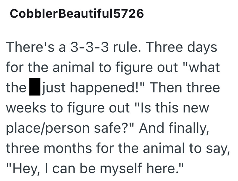 CobblerBeautiful5726 There's a 3-3-3 rule. Three days for the animal to figure out "what the just happened!" Then three weeks to figure out "Is this new place/person safe?" And finally, three months for the animal to say, "Hey, I can be myself here."