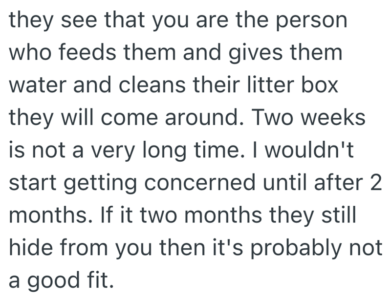 they see that you are the person who feeds them and gives them water and cleans their litter box they will come around. Two weeks is not a very long time. I wouldn't start getting concerned until after 2 months. If it two months they still hide from you then it's probably not a good fit.