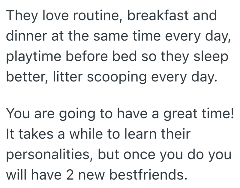 They love routine, breakfast and dinner at the same time every day, playtime before bed so they sleep better, litter scooping every day. You are going to have a great time! It takes a while to learn their personalities, but once you do you will have 2 new bestfriends.