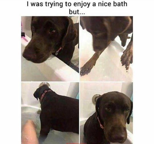 I was trying to enjoy a nice bath but...