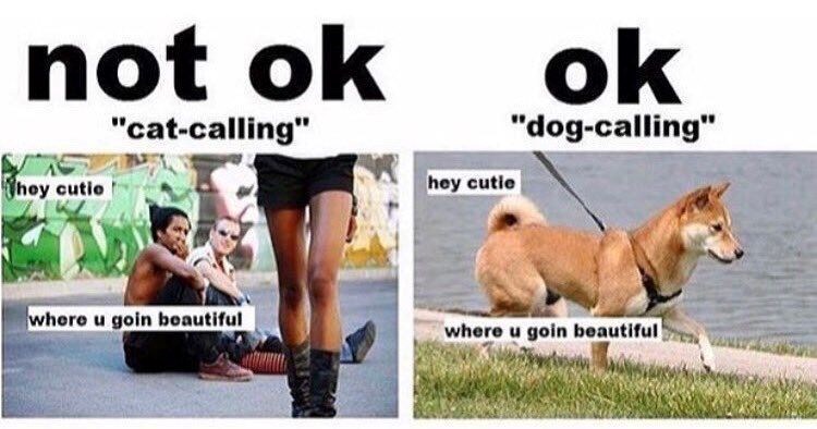 not ok "cat-calling" They cutie hey cutie ok "dog-calling" where u goin beautiful where u goin beautiful