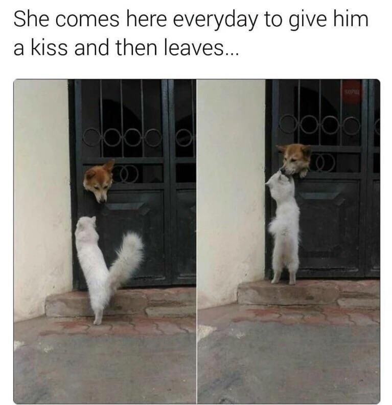 She comes here everyday to give him a kiss and then leaves... SOPUL