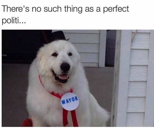 There's no such thing as a perfect politi... MAYOR