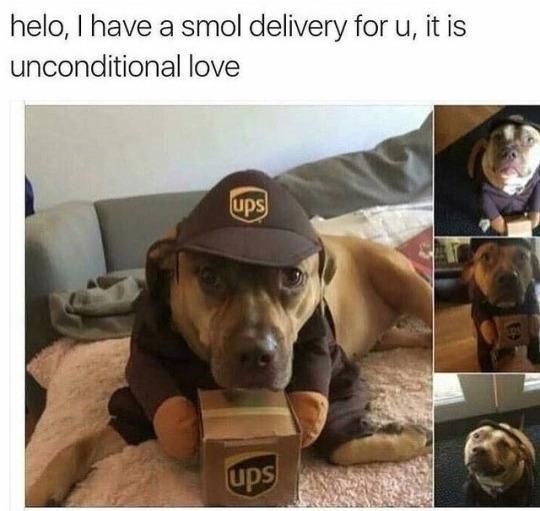 helo, I have a smol delivery for u, it is unconditional love ups ups