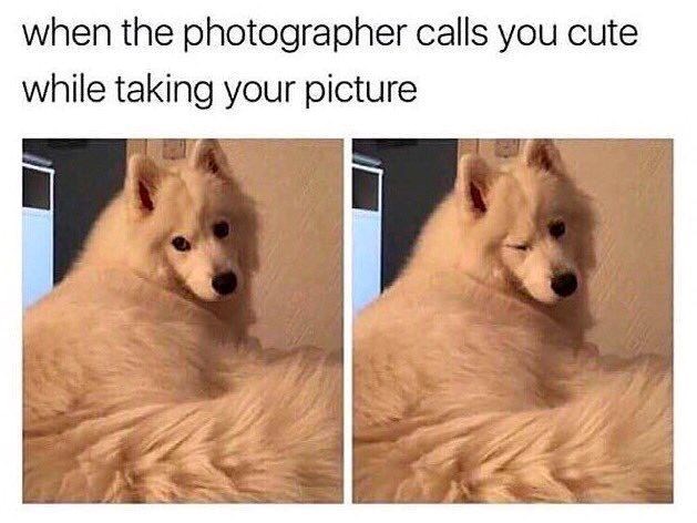 when the photographer calls you cute while taking your picture