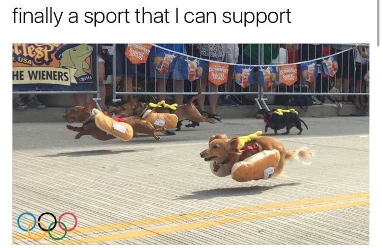finally a sport that I can support Test& USA HE WIENERS Aries