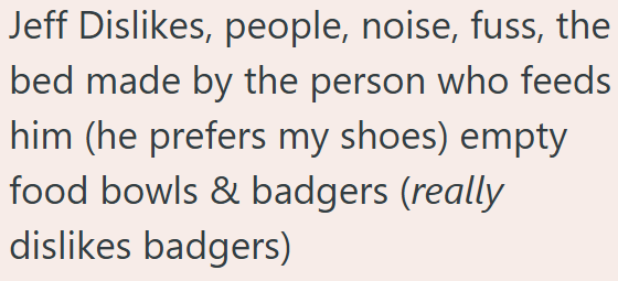 Jeff Dislikes, people, noise, fuss, the bed made by the person who feeds him (he prefers my shoes) empty food bowls & badgers (really dislikes badgers)