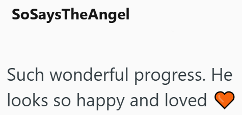 SoSaysTheAngel Such wonderful progress. He looks so happy and loved
