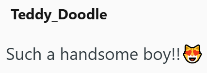 Teddy_Doodle Such a handsome boy!!