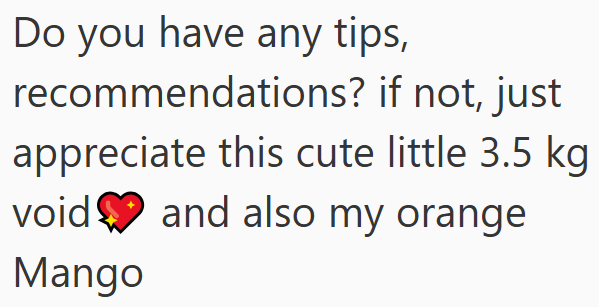 Do you have any tips, recommendations? if not, just appreciate this cute little 3.5 kg void and also my orange Mango