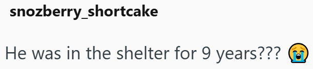 snozberry_shortcake He was in the shelter for 9 years???