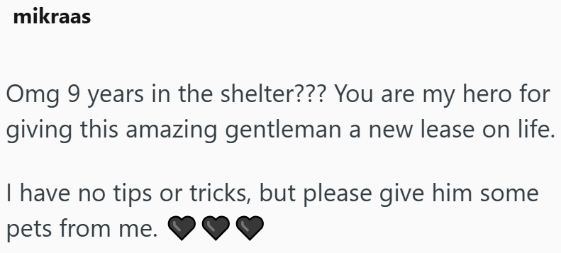 mikraas Omg 9 years in the shelter??? You are my hero for giving this amazing gentleman a new lease on life. I have no tips or tricks, but please give him some pets from me.