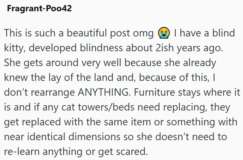 Fragrant-Poo42 This is such a beautiful post omg I have a blind kitty, developed blindness about 2ish years ago. She gets around very well because she already knew the lay of the land and, because of this, I don't rearrange ANYTHING. Furniture stays where it is and if any cat towers/beds need replacing, they get replaced with the same item or something with near identical dimensions so she doesn't need to re-learn anything or get scared.