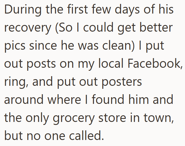 During the first few days of his recovery (So I could get better pics since he was clean) I put out posts on my local Facebook, ring, and put out posters around where I found him and the only grocery store in town, but no one called.