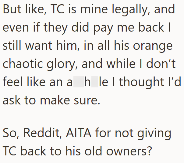 But like, TC is mine legally, and even if they did pay me back I still want him, in all his orange chaotic glory, and while I don't feel like an ah le I thought I'd ask to make sure. So, Reddit, AITA for not giving TC back to his old owners?
