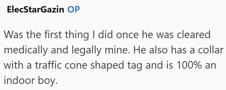 ElecStarGazin OP Was the first thing I did once he was cleared medically and legally mine. He also has a collar with a traffic cone shaped tag and is 100% an indoor boy.