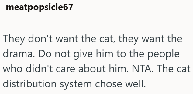 meatpopsicle67 They don't want the cat, they want the drama. Do not give him to the people who didn't care about him. NTA. The cat distribution system chose well.